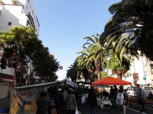 a0347778_2317154.jpg