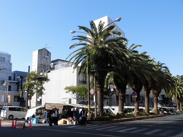 a0347778_238761.jpg