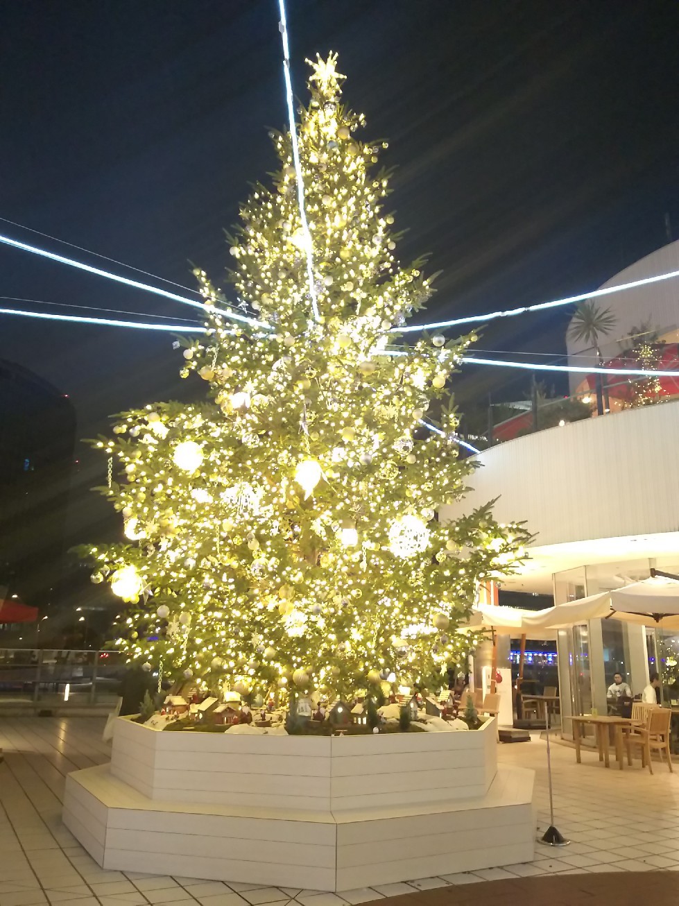 f0302381_20370977.jpg