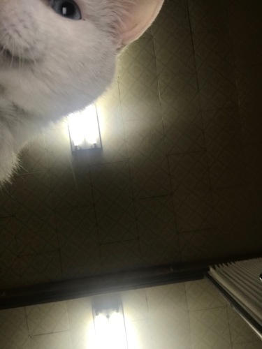 a0216583_22211868.jpeg
