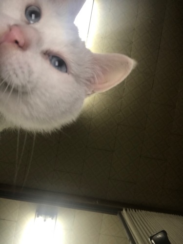 a0216583_22212174.jpeg