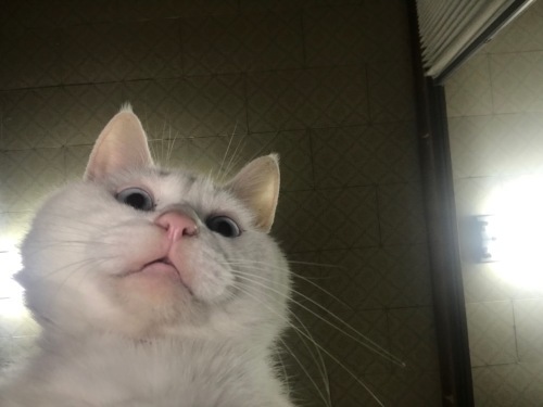 a0216583_22212705.jpeg