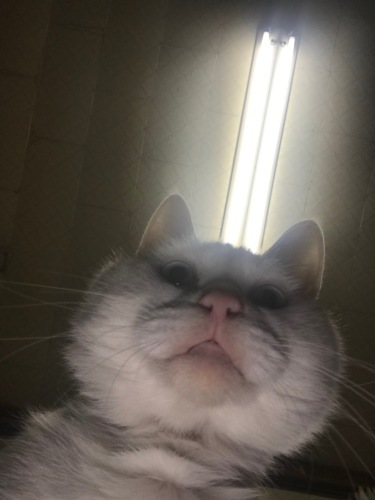 a0216583_22213176.jpeg