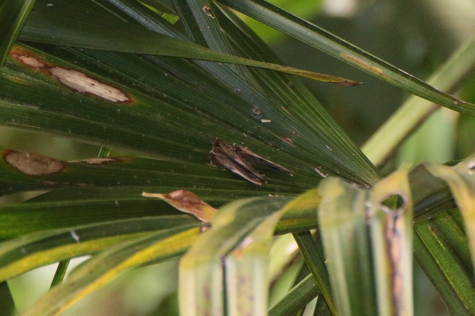 f0373486_03090167.jpg