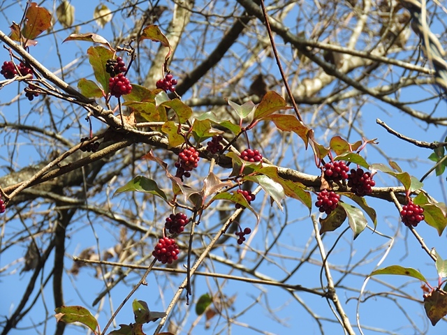 f0357487_21430790.jpg