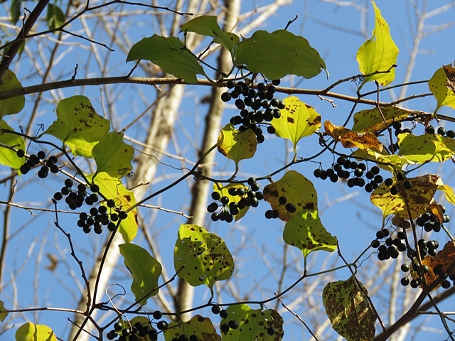 f0357487_21441962.jpg