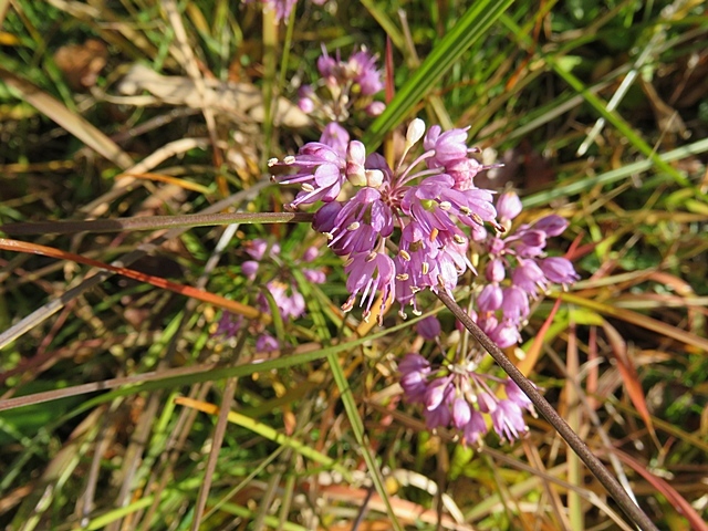 f0357487_21532950.jpg