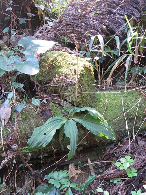 f0357487_21553575.jpg