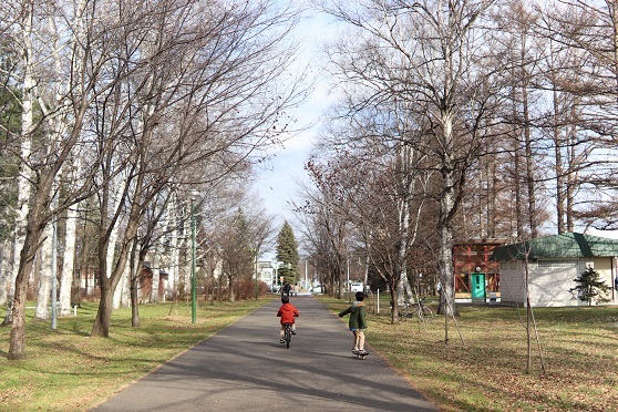 自転車の練習_b0364290_12380448.jpg