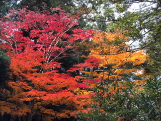 a0233991_16565207.jpg