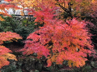 a0233991_16572712.jpg