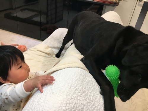 Baby and がっちゃん_f0347891_01132070.jpeg