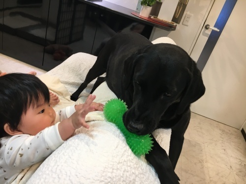 Baby and がっちゃん_f0347891_01133269.jpeg