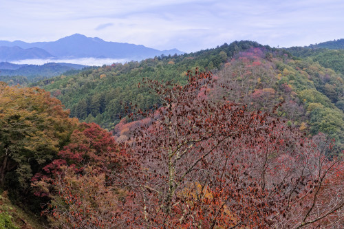 e0366896_10454413.jpg