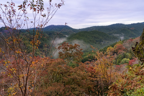e0366896_10460911.jpg