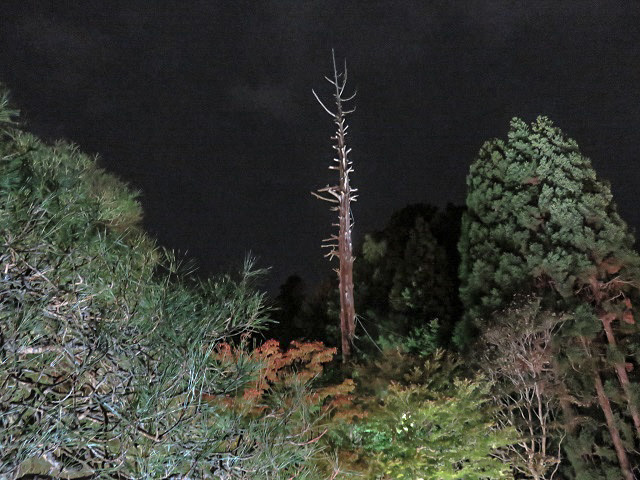 f0346196_18372341.jpg