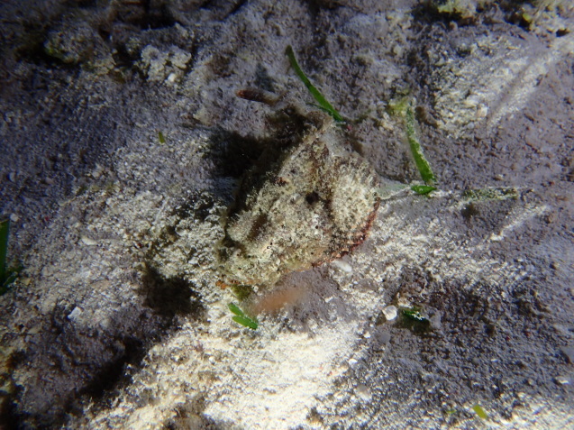 e0115199_13151788.jpg