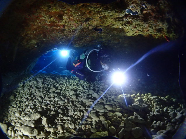 e0115199_13260213.jpg