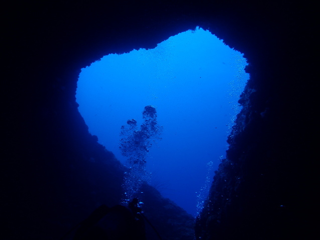 e0115199_13574618.jpg