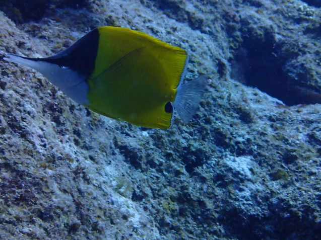 e0115199_13590224.jpg