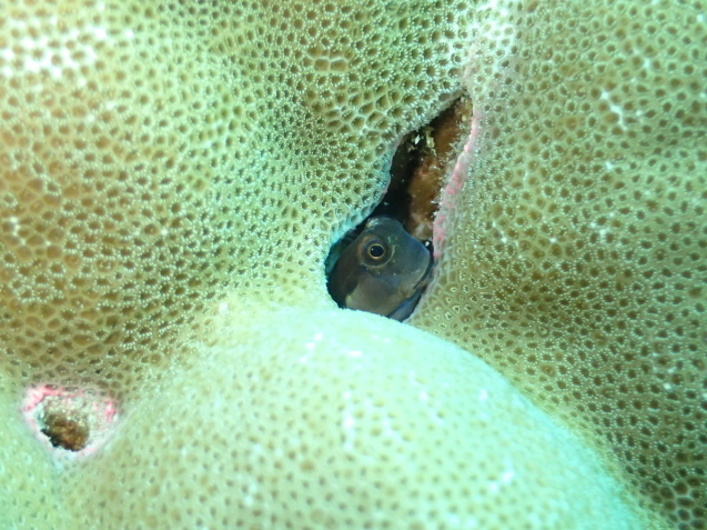 e0115199_14045545.jpg