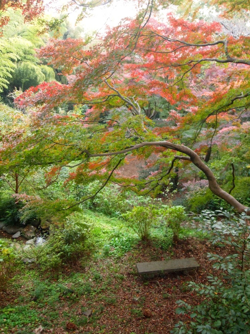 アクアラインを渡って････････その３_b0331802_20430957.jpg
