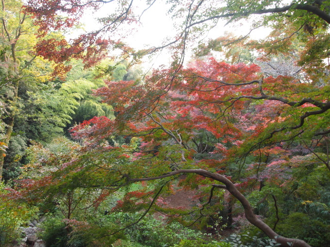 アクアラインを渡って････････その３_b0331802_20441802.jpg