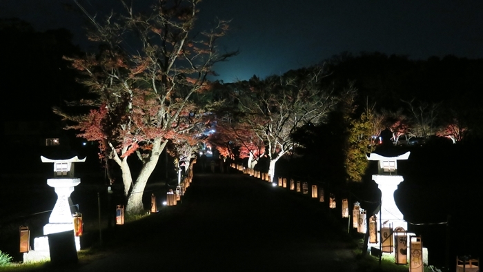 大御堂観音寺のライトアップ 花 Tuzuri 大御堂観音寺のライトアップ 花 Tuzuri