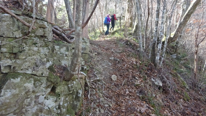 手箱山　大瀧の滝から　往復　約13ｋｍ　標高差　約1100ｍ_b0124306_16422956.jpg