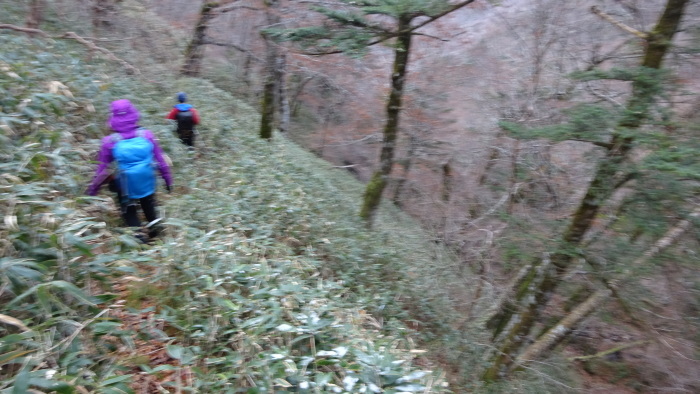 手箱山　大瀧の滝から　往復　約13ｋｍ　標高差　約1100ｍ_b0124306_18145512.jpg