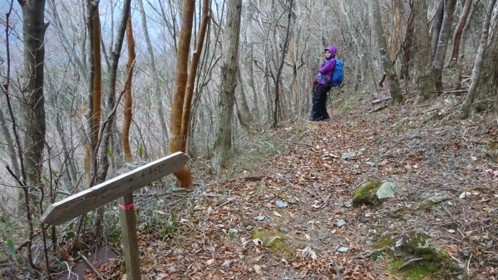 手箱山　大瀧の滝から　往復　約13ｋｍ　標高差　約1100ｍ_b0124306_18203110.jpg