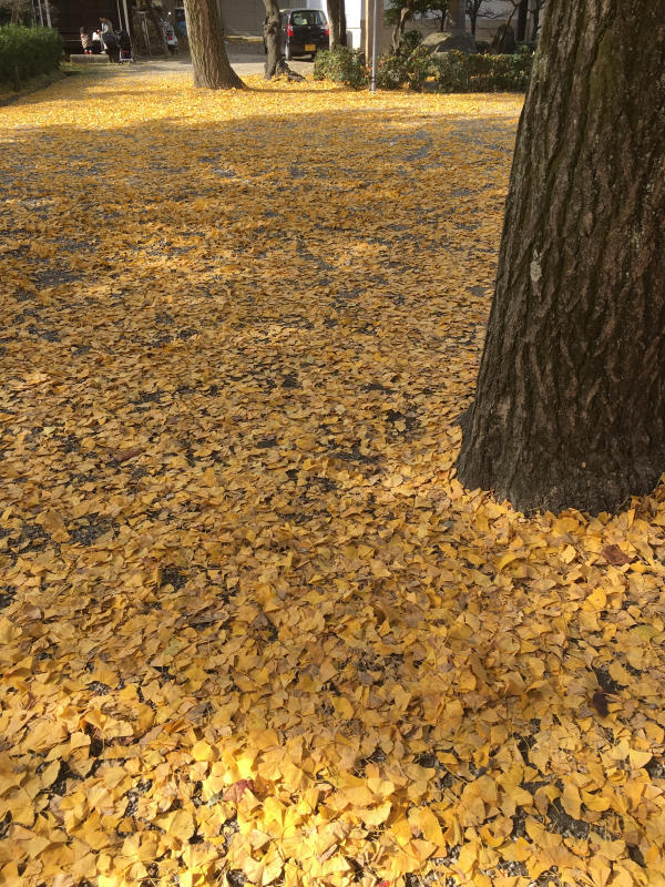 ありがとうございました。_f0273406_11352837.jpg