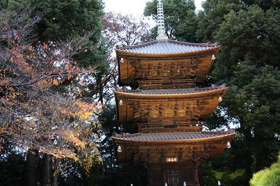 我家の花。椿山荘の庭園_e0255509_20382918.jpg