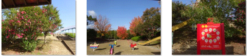 f0231709_02550835.gif