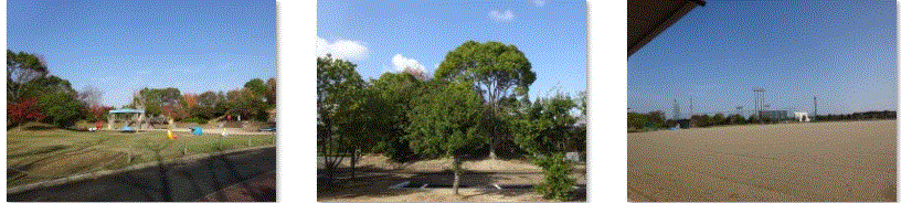 f0231709_02552407.gif