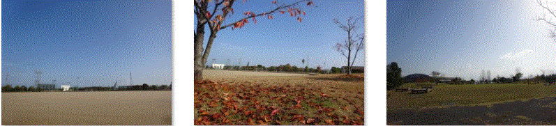 f0231709_02553861.gif