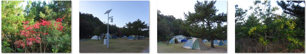 f0231709_03020572.gif