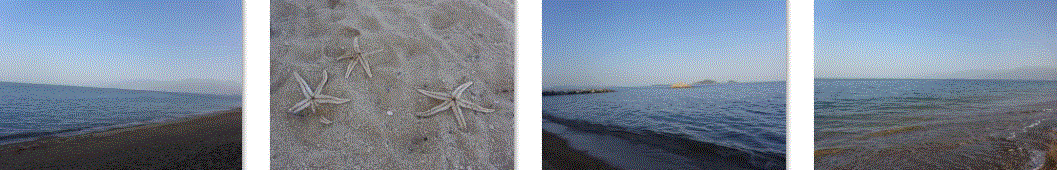 f0231709_03022548.gif