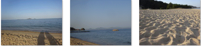 f0231709_03065804.gif
