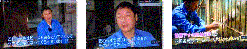 f0231709_14245075.gif