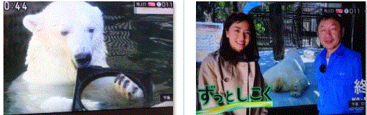 f0231709_14252288.gif