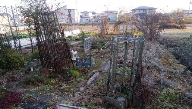 b0035611_20592373.jpg