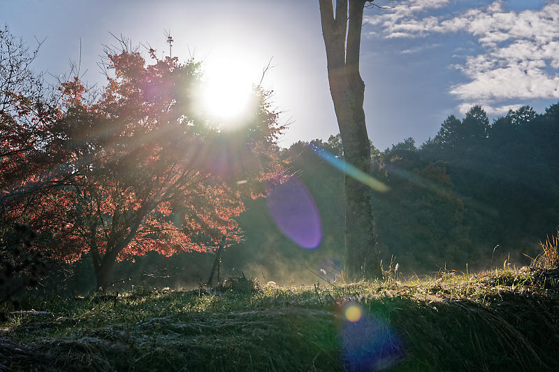 2018湖南三山の紅葉・湖南　常楽寺_f0032011_21025703.jpg