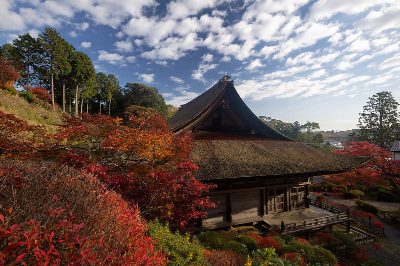 2018湖南三山の紅葉・湖南　常楽寺_f0032011_21025736.jpg