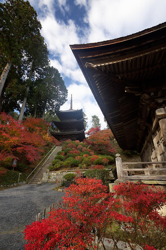 2018湖南三山の紅葉・湖南　常楽寺_f0032011_21025749.jpg