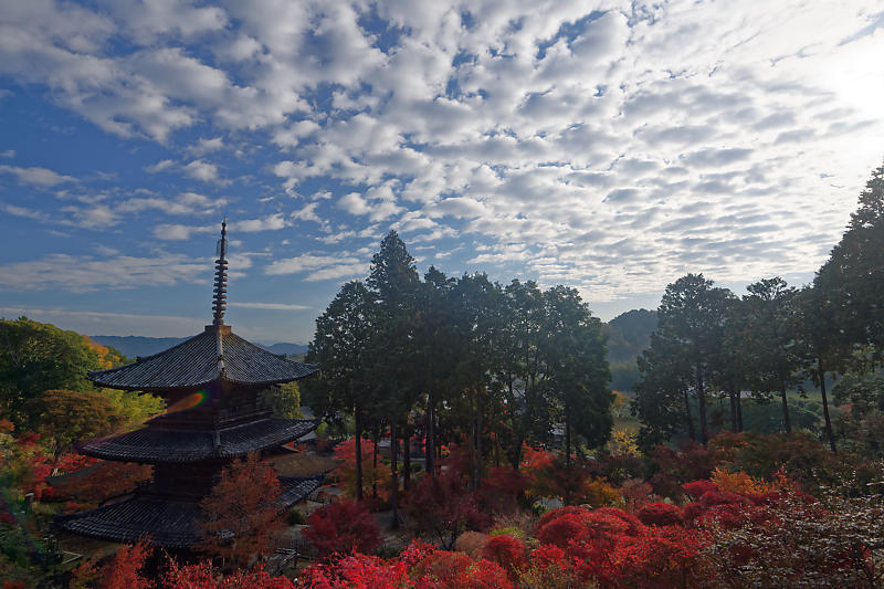 2018湖南三山の紅葉・湖南　常楽寺_f0032011_21052072.jpg