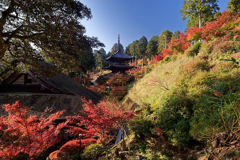 2018湖南三山の紅葉・湖南　常楽寺_f0032011_21052115.jpg