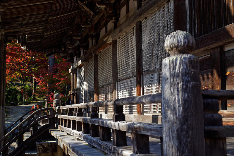 2018湖南三山の紅葉・湖南　常楽寺_f0032011_21052170.jpg