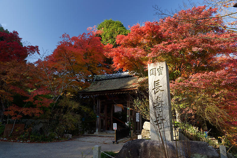 f0032011_21455175.jpg