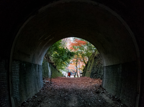a0279012_15310297.jpeg